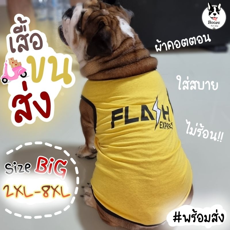 ส่งของทุกวัน❤️ เสื้อสัตว์เลี้ยง ลายขนส่ง ผ้าคอตตอนยืดๆลื่นๆ ใส่สบายไม่ร้อน ไซส์ 2XL-8XL (รอบอก 55-102 ซม.)