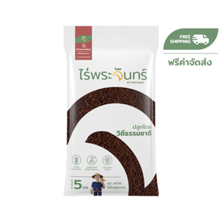 ข้าวหอมมะลิแดง 5Kg คัดพิเศษ ปลอดสาร ไม่ใช้สารกันมอด แบรนด์ไร…