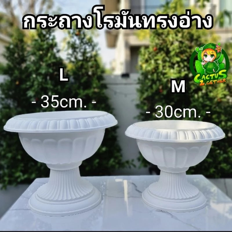 กระถางโรมันทรงอ่างพร้อมฐานรอง พานพุ่ม(แบบไม่เจาะรูใส่บัว เลี้ยงปลาได้ค่ะ)