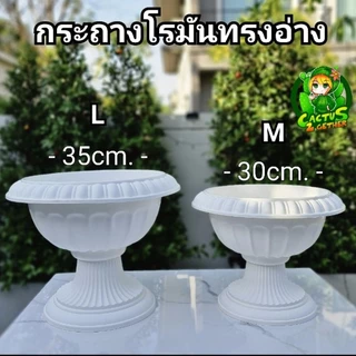 กระถางโรมันทรงอ่างพร้อมฐานรอง พานพุ่ม(แบบไม่เจาะรูใส่บัว เลี้ยงปลาได้ค่ะ)