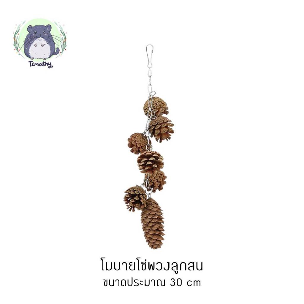 โมบาย แขวนกรง โซ่ ลูกสน คละขนาด ของเล่นลับฟัน ขัดฟัน สัตว์ฟันแทะ กระต่าย ชินชิลล่า ชินชิล่า แกสบี้ นก