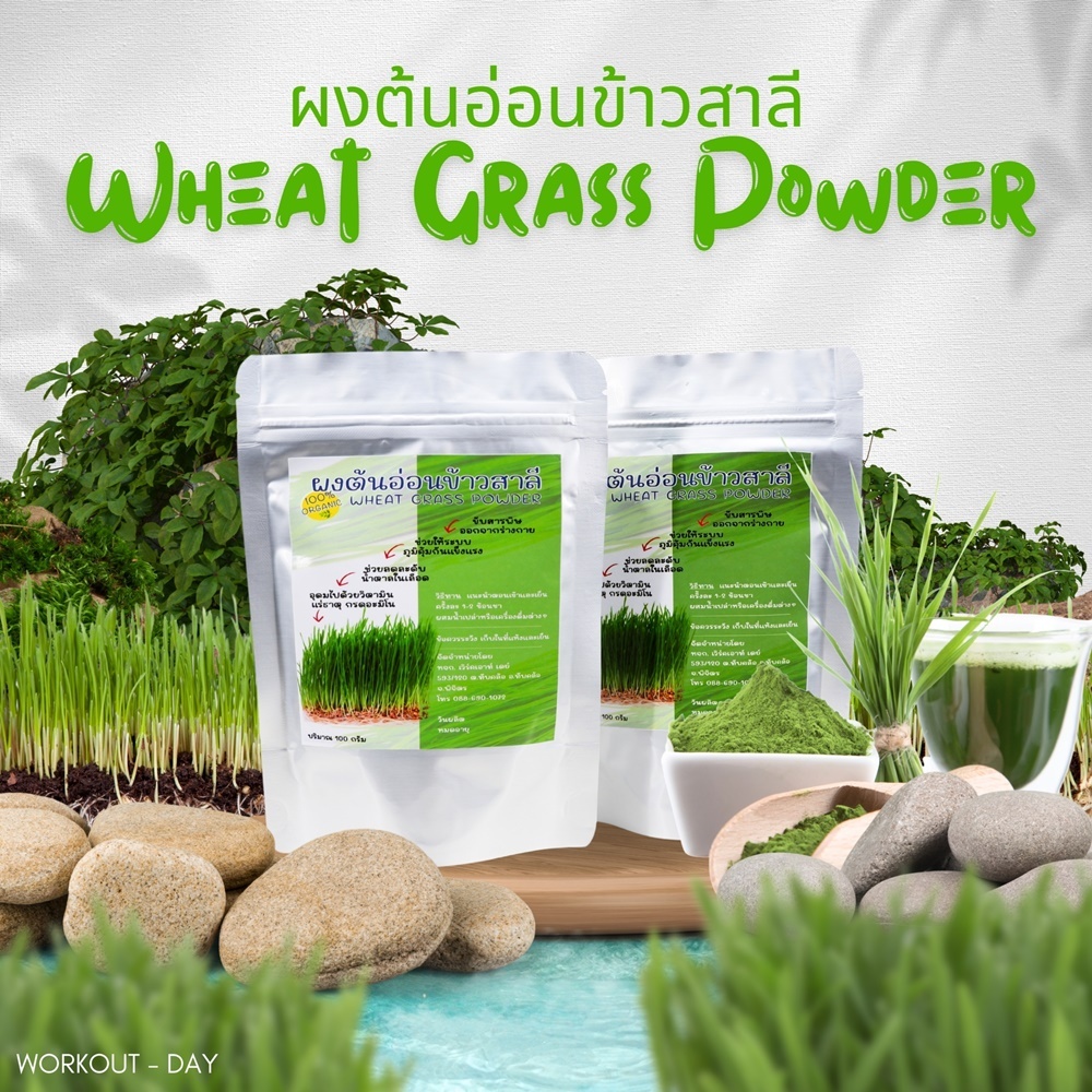 ผงต้นอ่อนข้าวสาลี มีอย. (Wheat grass) ขนาด100กรัม