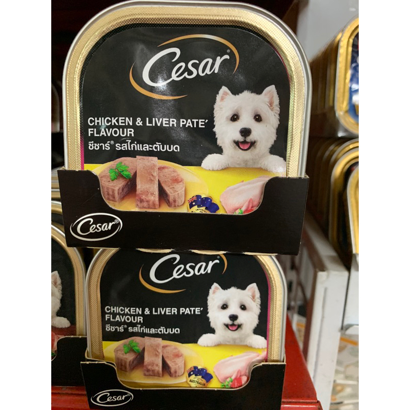 🙀‼️ ซีซ่า Cesar อาหารสุนัขแสนอร่อย ขนาด100กรัม ***จำนวน 4 ตลับ ***  สินค้ามาส่งใหม่ทุกเดือน