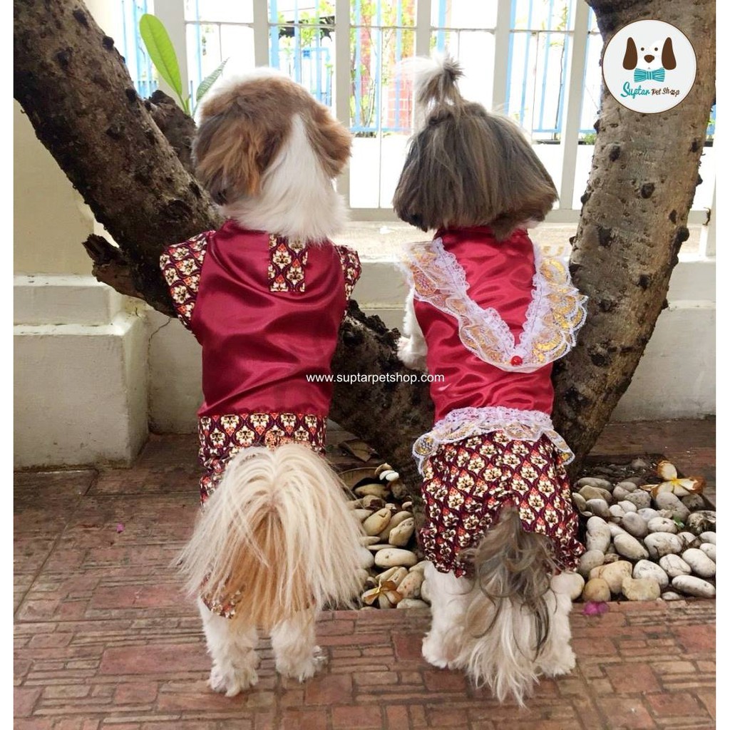 ชุดไทยสำหรับหมาแมว มีของหมาใหญ่ เบอร์ 1-10 ลายลูกไม้ใส่สี่ขา แบบโจงกระเบน ใส่วันลอยกระทง สงกรานต์ ปีใหม่ หรืองานกฐิน