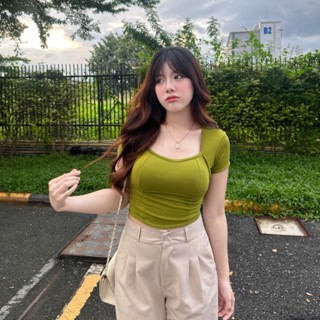 PIN125 ครอปแขนสั้นกุ้นขอบ บัณฑิต B-001-3-A