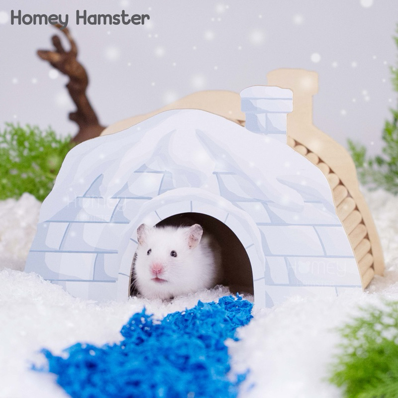 Homey Hamster บ้านหลบแฮมสเตอร์ ของแต่งกรงแฮมสเตอร์ บันไดแฮมสเตอร์ sweet sugar nitenagel hedgehog planet จักรแฮมสเตอร์