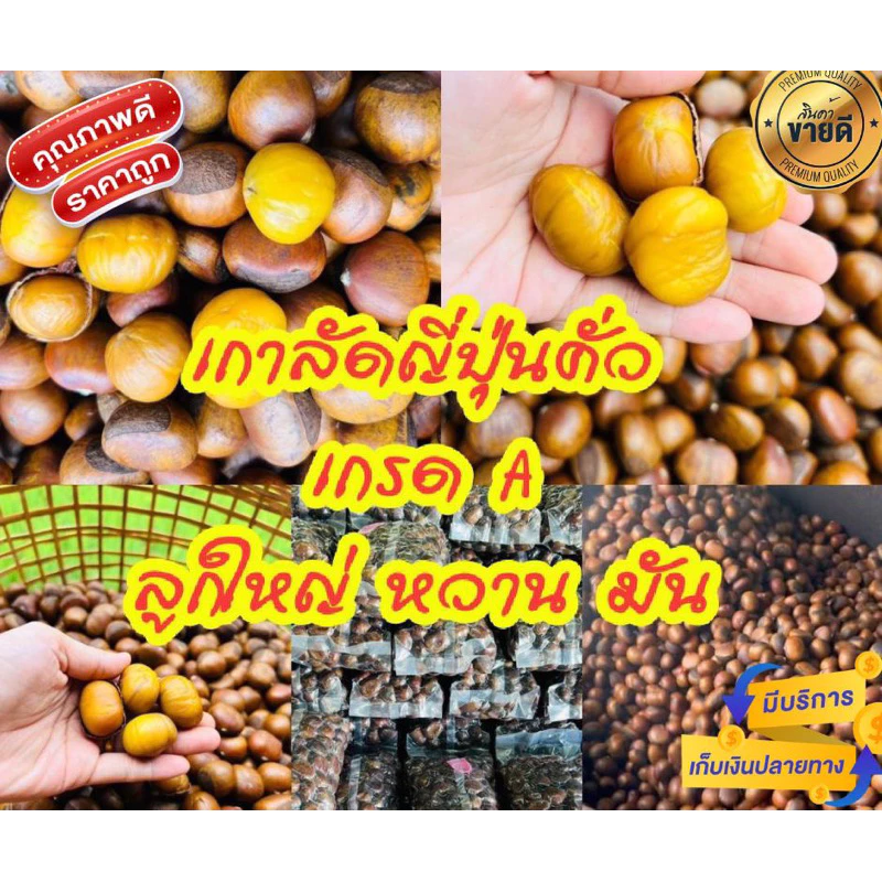 เกาลัดญี่ปุ่นคั่วสุกพร้อมทานหวานมันแถมที่แกะ คั่วสดใหม่ทุกวัน 1 กิโลกรัม