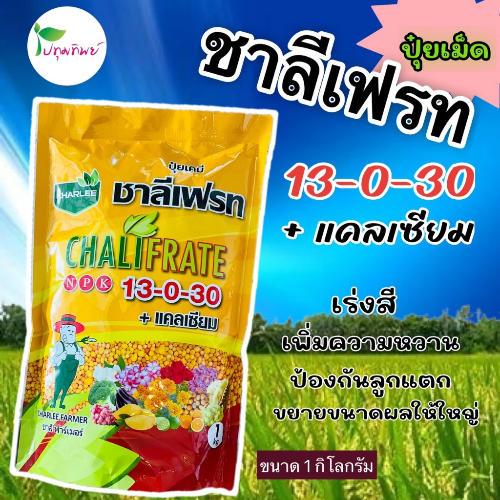 ปุ๋ยชาลีเฟรท สูตร 13-0-30 + แคลเซียม ขนาด 1 กิโลกรัม ช่วยเร่งสี เพิ่มความหวาน ป้องกันลูกแตก ขยายขนาด
