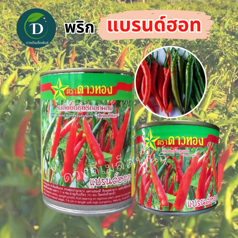 เมล็ดพริกแบรนด์ฮอท 20กรัม และ 50กรัม ตราดาวทอง เมล็ดพันธุ์พริกดาวทอง พริกขี้หนู พันธุ์พริกขี้หนู เมล็ดพันธุ์พริก