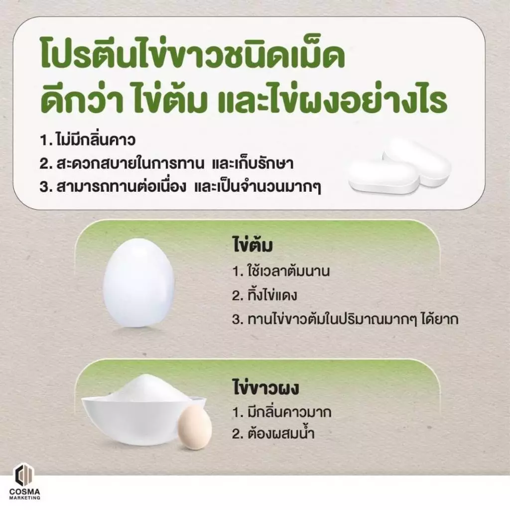 Egg Albumin อัลบูมินไข่ขาว 90 เม็ด / ผง 400g / ซอง โปรตีนสูง thumbnail 6