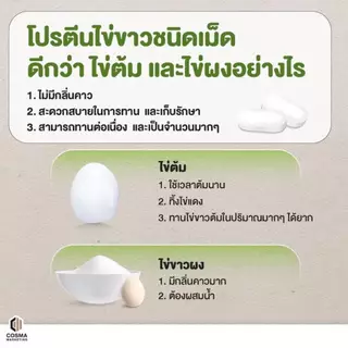 Egg Albumin อัลบูมิน โปรตีน ไข่ขาว ชนิดเม็ด (90 เม็ด / ผง 400 กรัม / แบบซอง 25 กรัม)