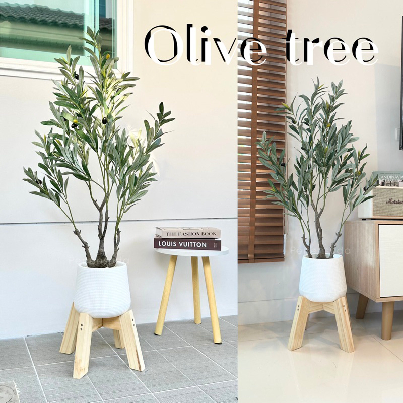 ต้นมะกอกดำโอลีฟ (OLIVE TREE) ฟรี!!หินตกแต่ง ต้นไม้ปลอมยอดนิยม ต้นไม้ตกแต่งบ้าน