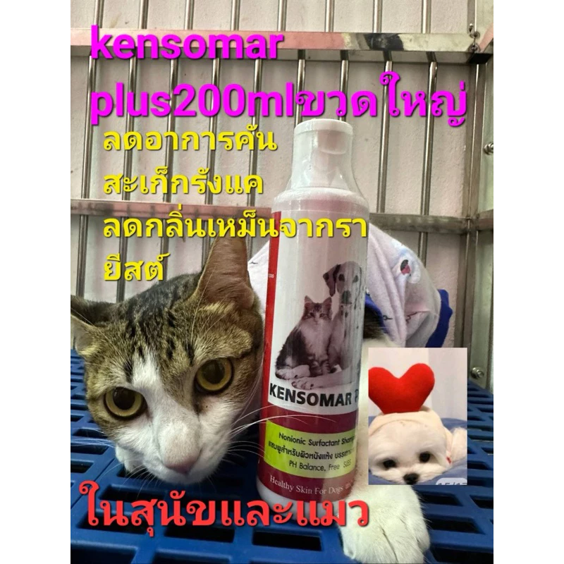 Kensomar plus shampoo แชมพูสำหรับสุนัขและแมว1ขวด200ml