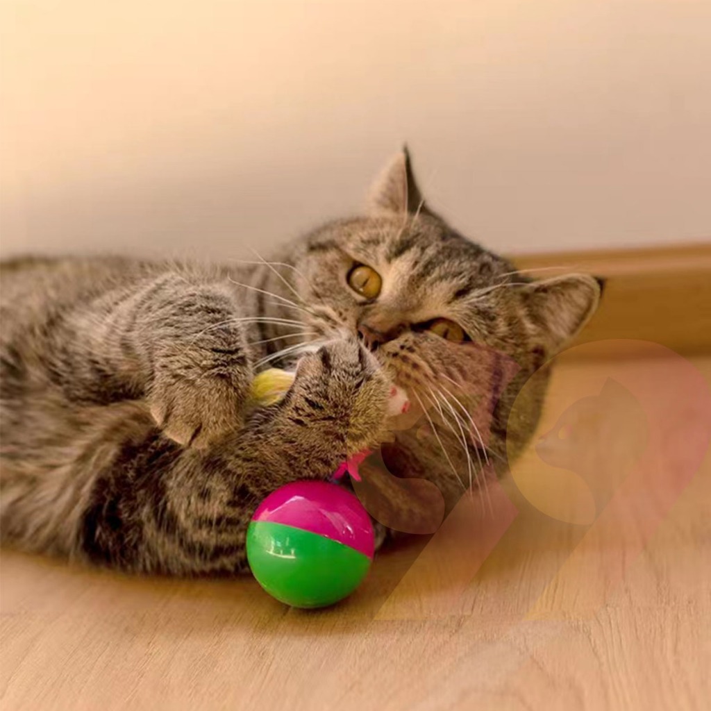 99PET ของเล่นแมว  ลูกบอลล้มลุก หนูล้มลุก ของเล่นหนูปลอม ของเล่นแสนสนุก
