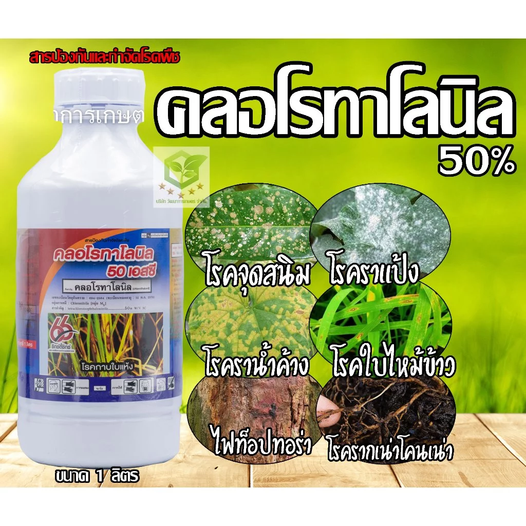 คลอโรทาโลนิล 50% 1ลิตร ป้องกันกำจัดโรคราน้ำค้าง,ราเข้าขั้ว,ราดำ,ใบปื้นเหลือง คลอโลทาโลนิล ดาโคนิล คลอโรทานิล
