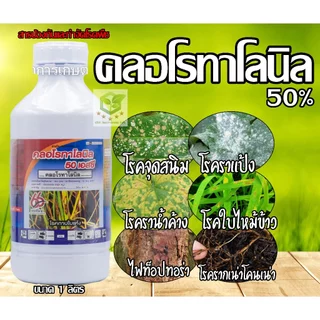 คลอโรทาโลนิล 50% 1ลิตร ป้องกันกำจัดโรคราน้ำค้าง,ราเข้าขั้ว,ราดำ,ใบปื้นเหลือง คลอโลทาโลนิล ดาโคนิล คลอโรทานิล