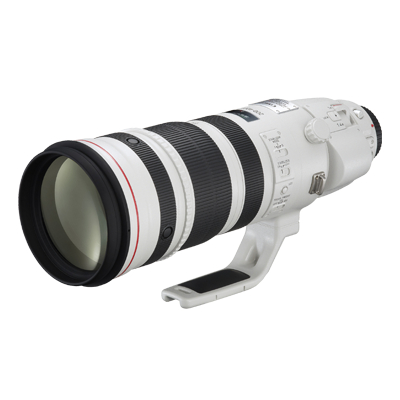 Canon EF200-400mm f/4L IS USM Extender 1.4x