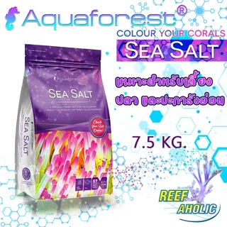 RA Aquaforest Sea Salt 7.5 Kg เกลือทะเลสังเคราะห์ สูตรเลี้ยงปลาและปะการังอ่อน พวกพริ้วๆ เห็ดก็ได้นะ