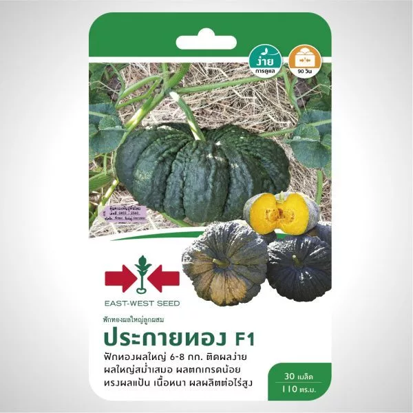 ฟักทองผลใหญ่ ประกายทอง 30เมล็ด ศรแดง