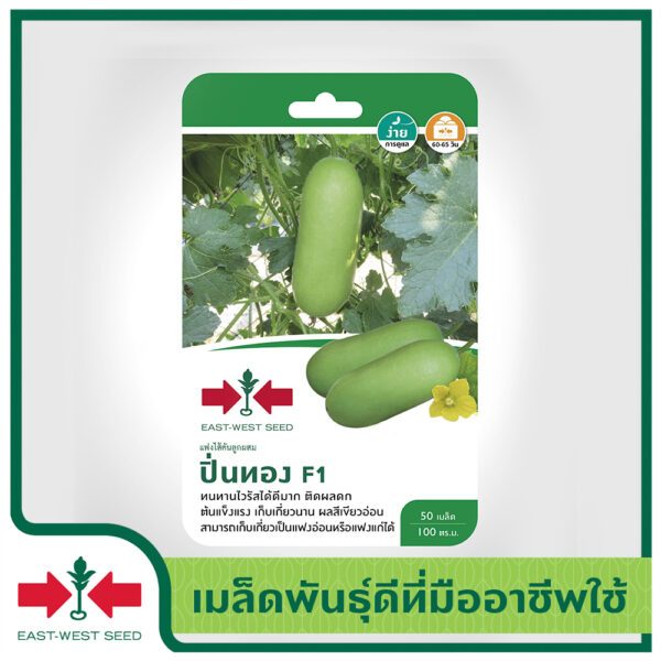 แฟงไส้ตัน ปิ่นทอง 50เมล็ด ศรแดง