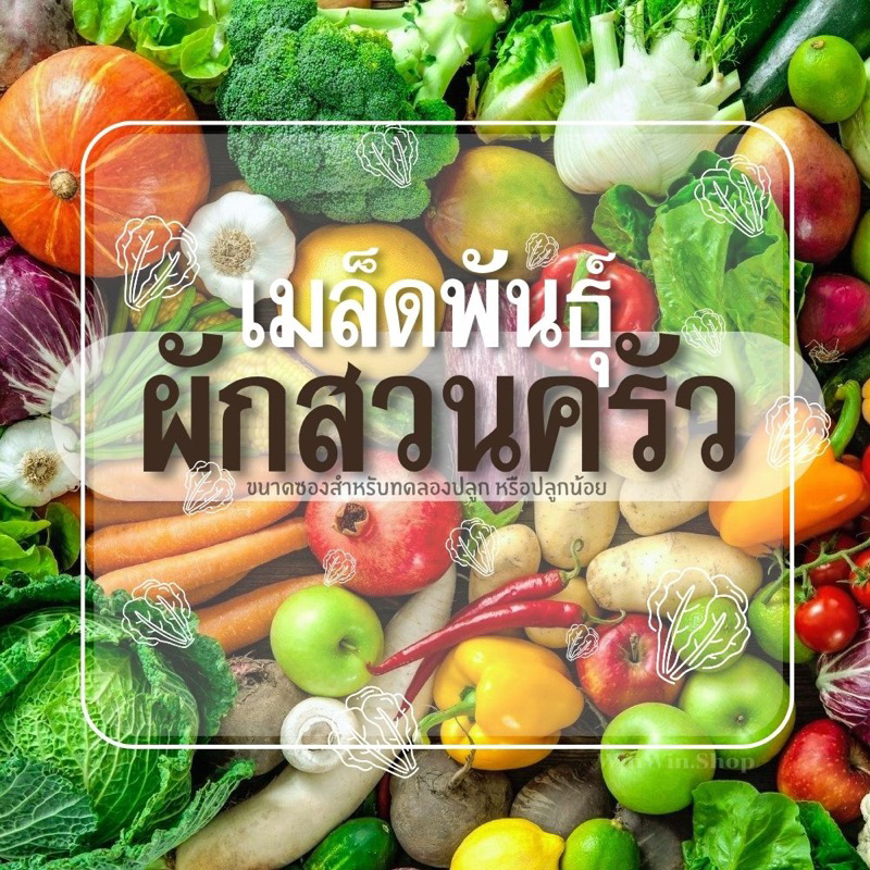 เมล็ดผักสวนครัว เมล็ดพันธุ์ผัก ขนาดทดลอง สำหรับบ้านที่ปลูกน้อย ขนาดทดลอง เมล็ดผัก