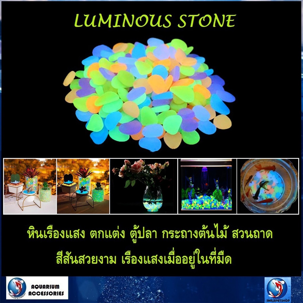 LUMINOUS STONE (หินเรืองแสง เรืองแสงในที่มืด สีสันสวยงาม  สำหรับตกแต่งตู้ปลา สวนถาด แจกัน ขวดโหล)