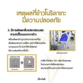 ข้าวกล้องญี่ปุ่น 2 kg (Japanese Brown Rice) ตรา Noritake