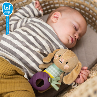 Taf Toys โมบายติด รถเข็นเด็ก คาร์ซีท Jenny the Bunny โมบายเด็ก ของเล่นเสริมพัฒนาการ 0 เดือน ขึ้นไป รูปที่ 3