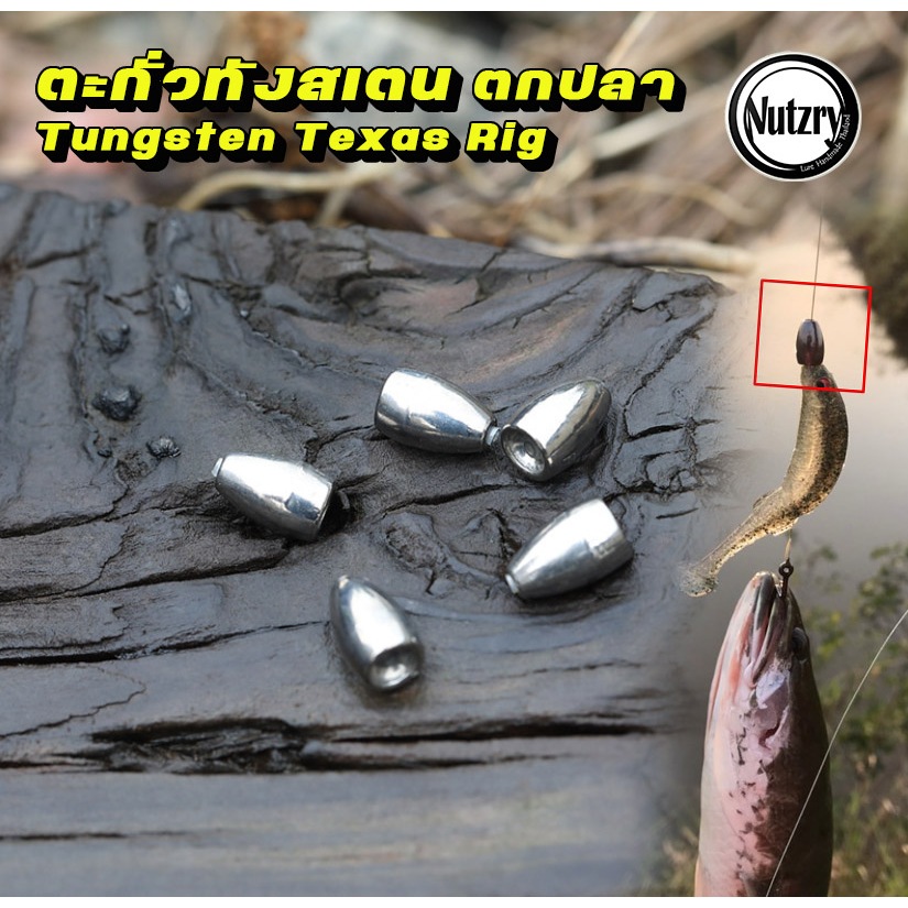 ตะกั่วทังสเตน Tungsten ทังสเตน ตกปลา Texas rig ตะกั่วเท็กซัส เดินหนอน ตกปลาช่อน