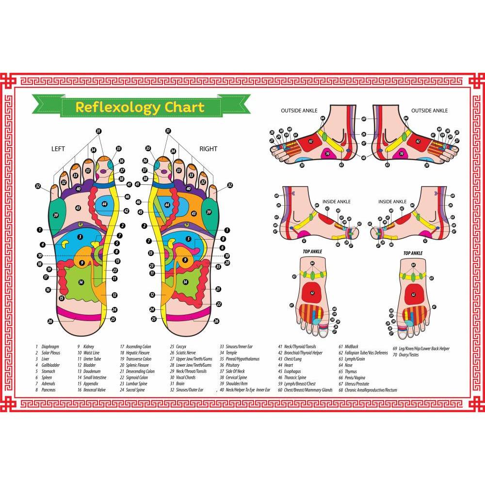 สติ๊กเกอร์ผังการนวดเท้า จุดตำแหน่งต่างๆ (Reflexology Chart) สำหรับตกแต่งร้านนวด สปาไทย
