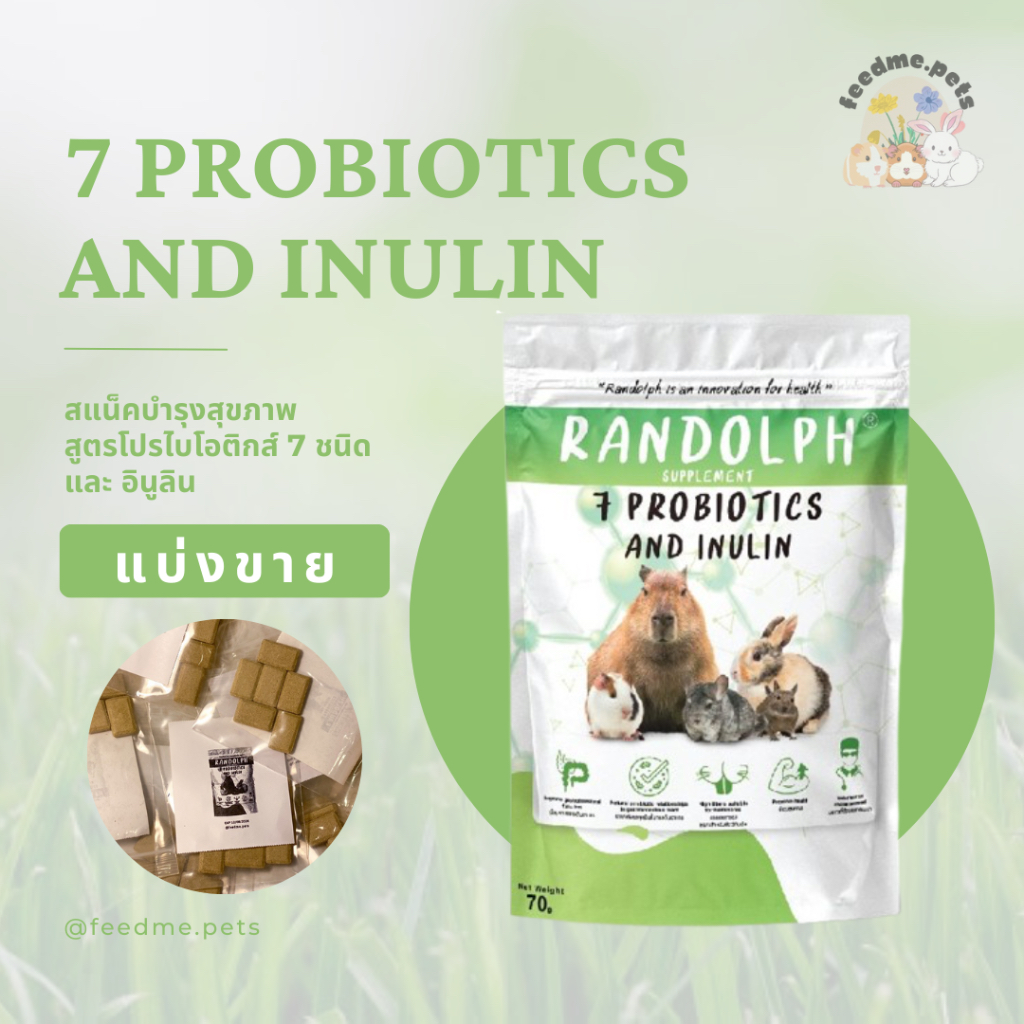 Randolph 7 Probiotics and Inulin สแน็คบำรุงสุขภาพสัตว์กินพืชขนาดเล็ก สูตรโปรไบโอติกส์ 7 ชนิด และ อินูลิน (แบ่งขาย)