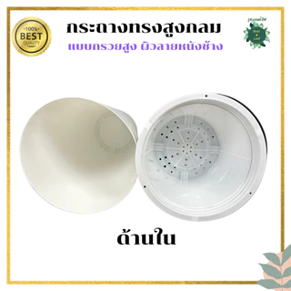 กระถางทรงสูงกลม ลายหนังช้าง แบบกรวย กระถางมินิมอล แต่งบ้าน แต่งคอนโด แต่งคาเฟ่ มีกระถางด้นใน น้ำไม่ไหลรั่วซึม พร้อมส่ง