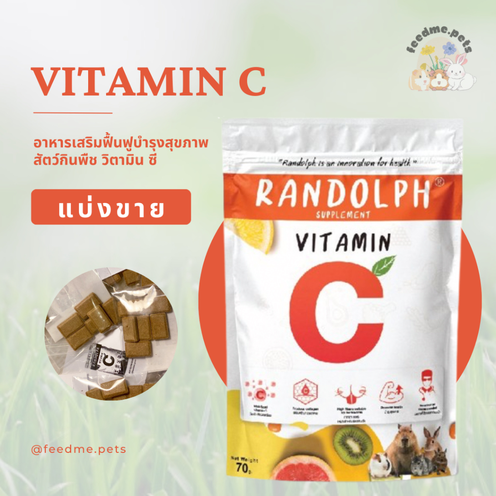 Randolph Vitamin C สแน็คเพื่อสุขภาพสำหรับสัตว์กินพืช สูตรวิตามิน ซี (แบ่งขาย)