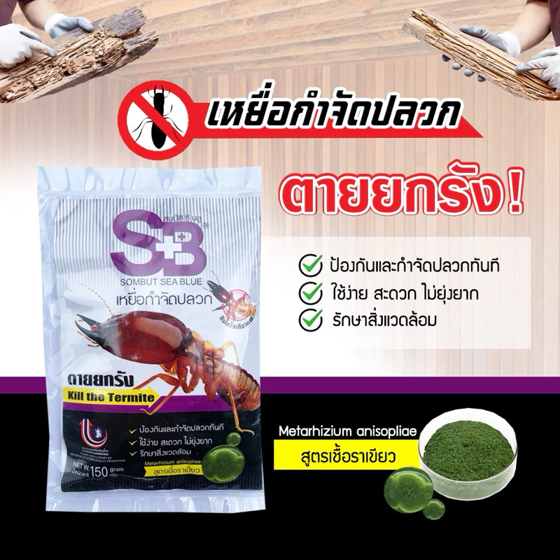 กำจัดปลวกเเละป้องกัน เชื้อราเขียว ตายยกรัง 150 กรัม