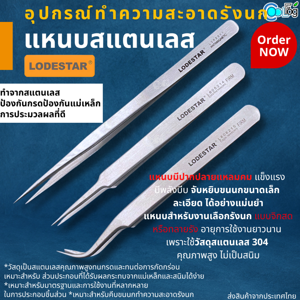 Lodestar อุปกรณ์ทำความสะอาดรังนก  แหนบสแตนเลส ใช้งานได้หลายรูปแบบ