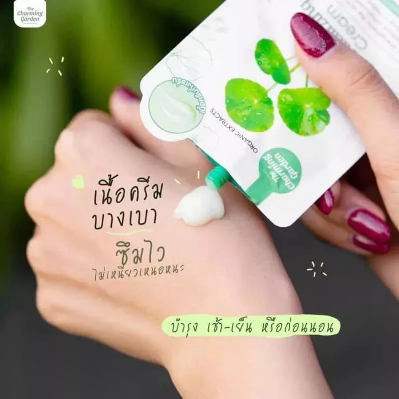 [สบู่ใบบัวบกกู้ผิว!] เดอะ ชาร์มมิ่ง การ์เด้น ใบบัวบกกู้ผิว เจล สบู่ ครีม Cica Revitalizing Gel 50g & Soap 50g & Cream thumbnail 10