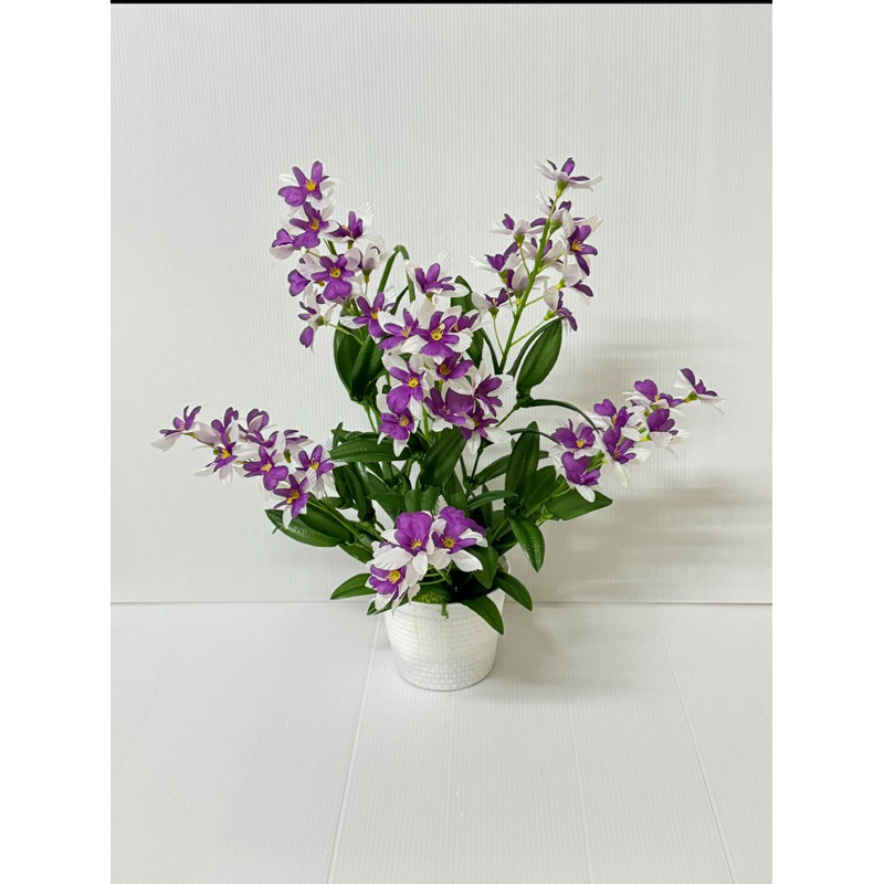 กล้วยไม้หวาย แบบกระเช้าแขวนผนัง Set 1