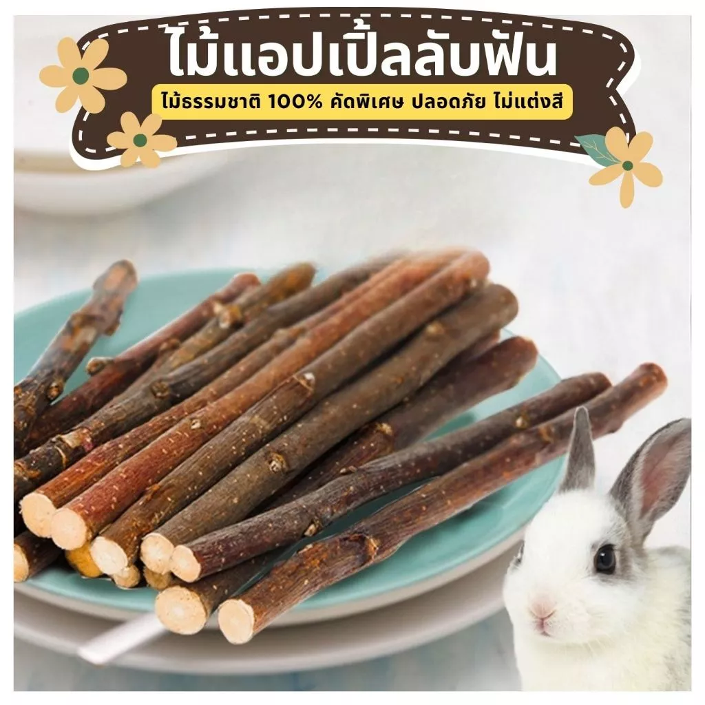 ไม้แอปเปิ้ล Apple Wood สำหรับกระต่าย,ชูการ์,แฮมเตอร์,แพรี่ด็อก,ชินชิล่า และสัตว์ฟันแทะทุกชนิด