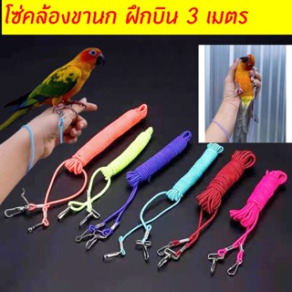 สายจูงนก สายจูงนกแก้ว​ สายยืดได้​ เดินเล่น​ ฝึกบิน​ สีพลาสเท…