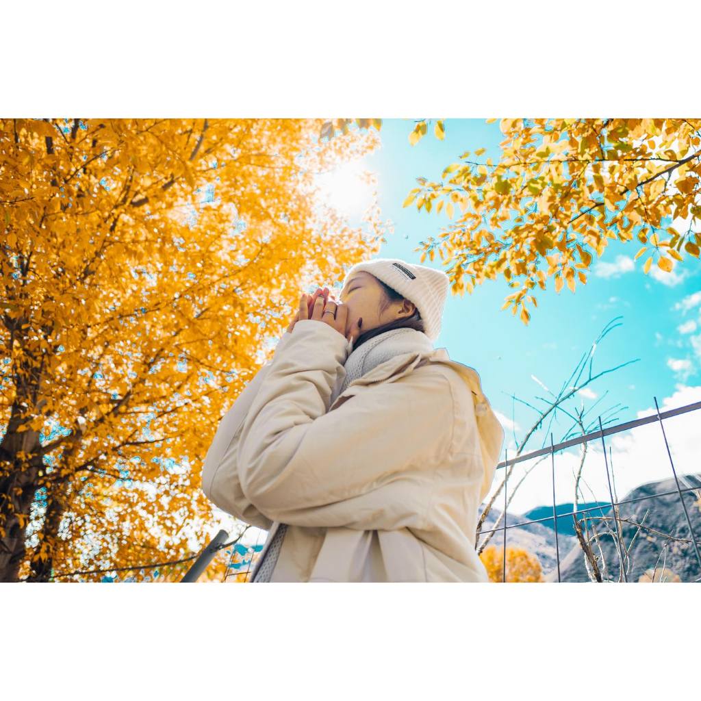 รูปภาพ 4