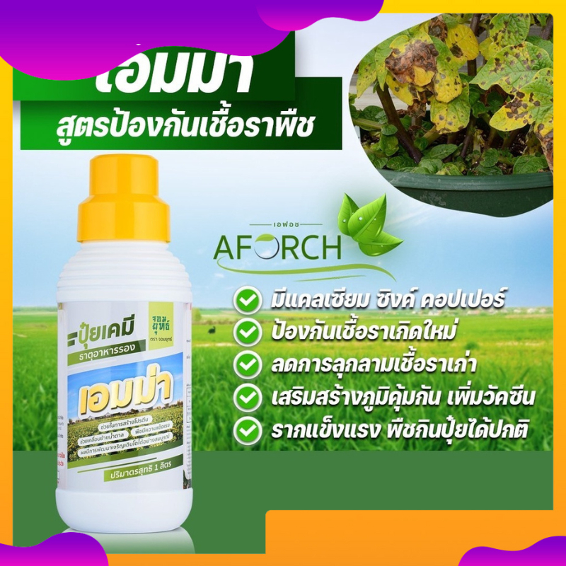 (1แถม1) ปุ๋ยน้ำเอมม่า 1 ลิตร ป้องกันเชื้อราในพืช ปุ๋ยน้ำสูตรเข้มข้น เพิ่มความแข็งแรงให้กับพืช