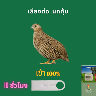 เสียงต่อ นกคุ้ม ความยาว10ชั่วโมง ในเเฟรชไดร์ฟ