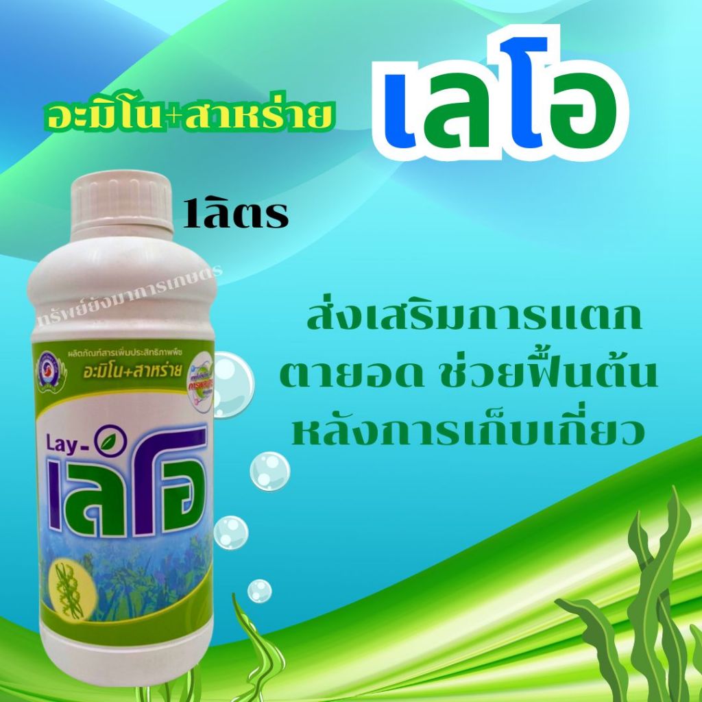 เลโอ ขนาด 1ลิตร สาหร่ายเขียวเข้มข้น+อะมิโน ส่งเสริมการแตกตายอด ช่วยฟื้นต้นหลังการเก็บเกี่ยว