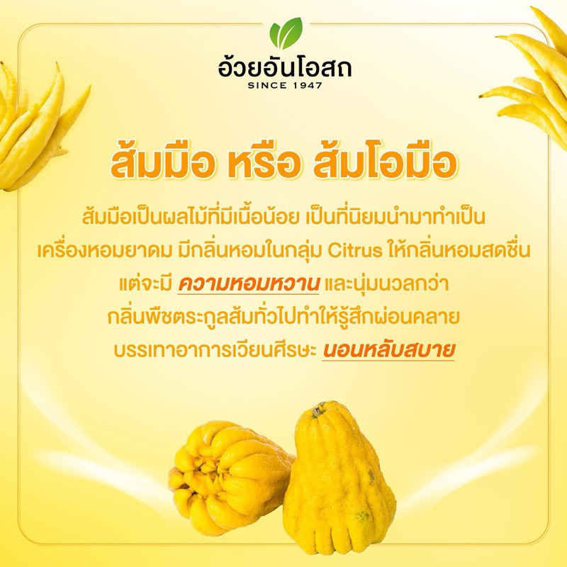 🔥แท้💯%ค่าส่งถูก🚘ยาดมสมุนไพร อ้วยอันโอสถ 1โหล (ยกกล่อง) ยาดมมังกรทอง หอม สดชื่น ยาดมมังกรทอง - รูปที่ 5