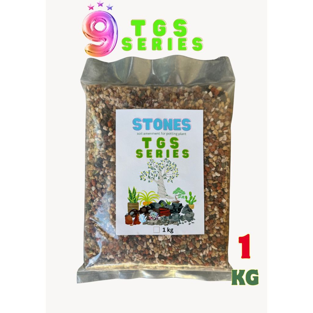 หิน Stone TGS Series หิน9เซียน