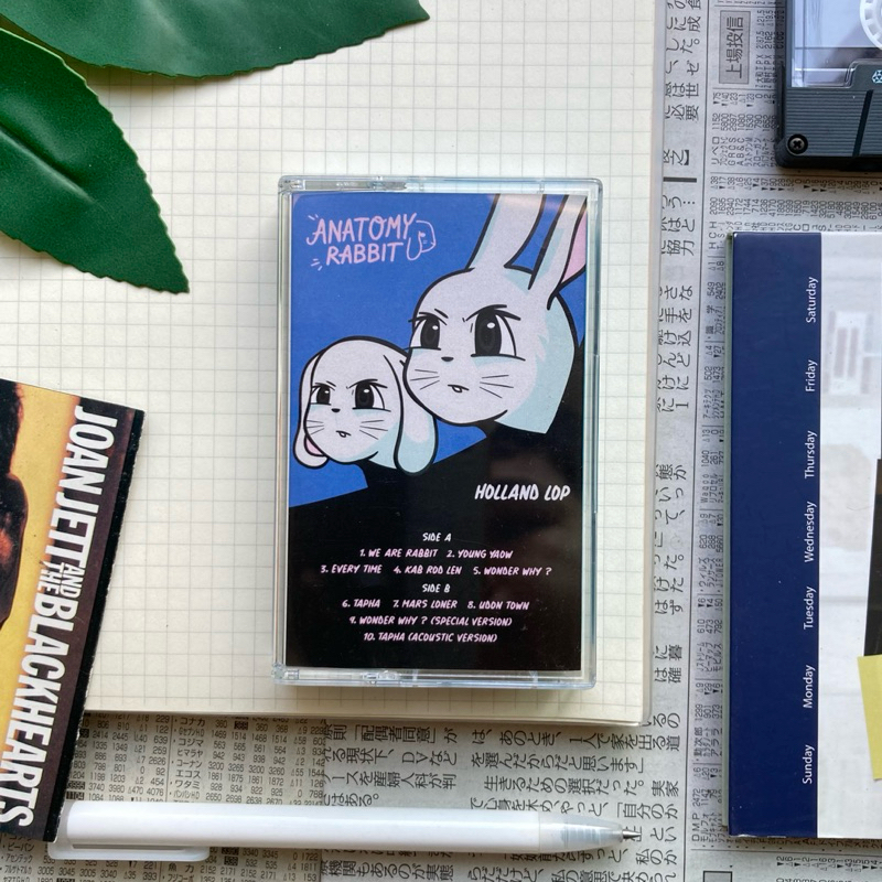 เทปAnatomy rabbit   อัลบั้ม Holland lop