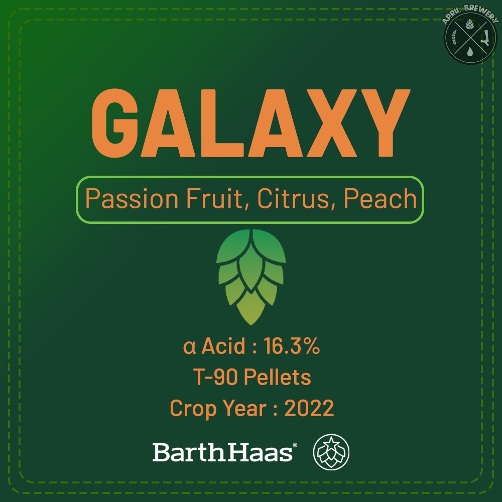 Galaxy Hops Pellets ฮอปส์ เพลลิท ทำเบียร์​ Pale Ale, IPA และอื่นๆ Homebrew Crop 2022 1oz [ BARTHHAAS ]