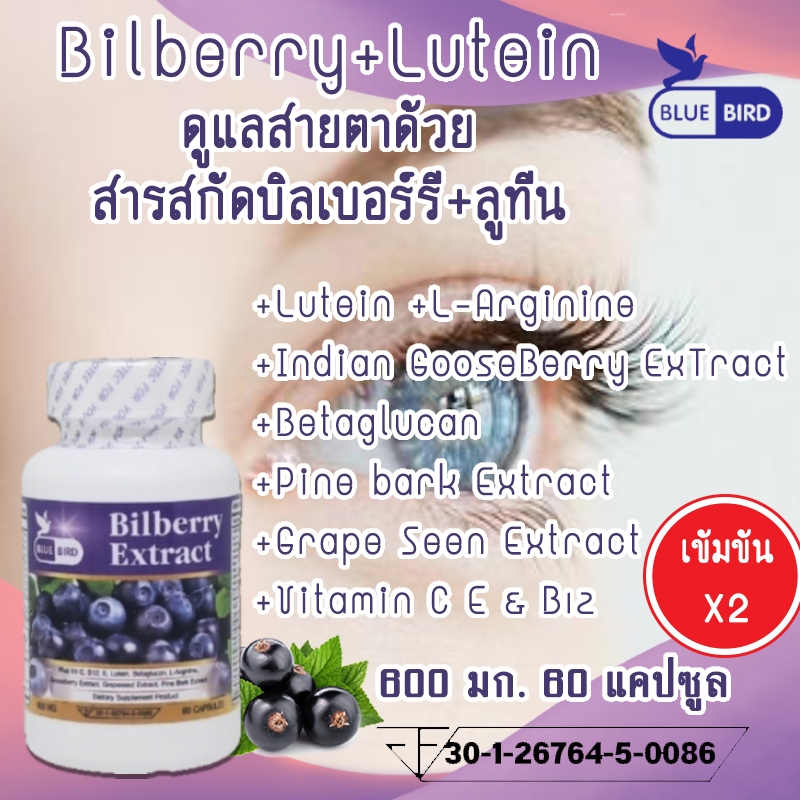 Bilberry Extract Plus สารสกัดจากบิลเบอร์รี่ พลัส ตรา บลูเบิร์ด 600 มก. 60 แคปซูล