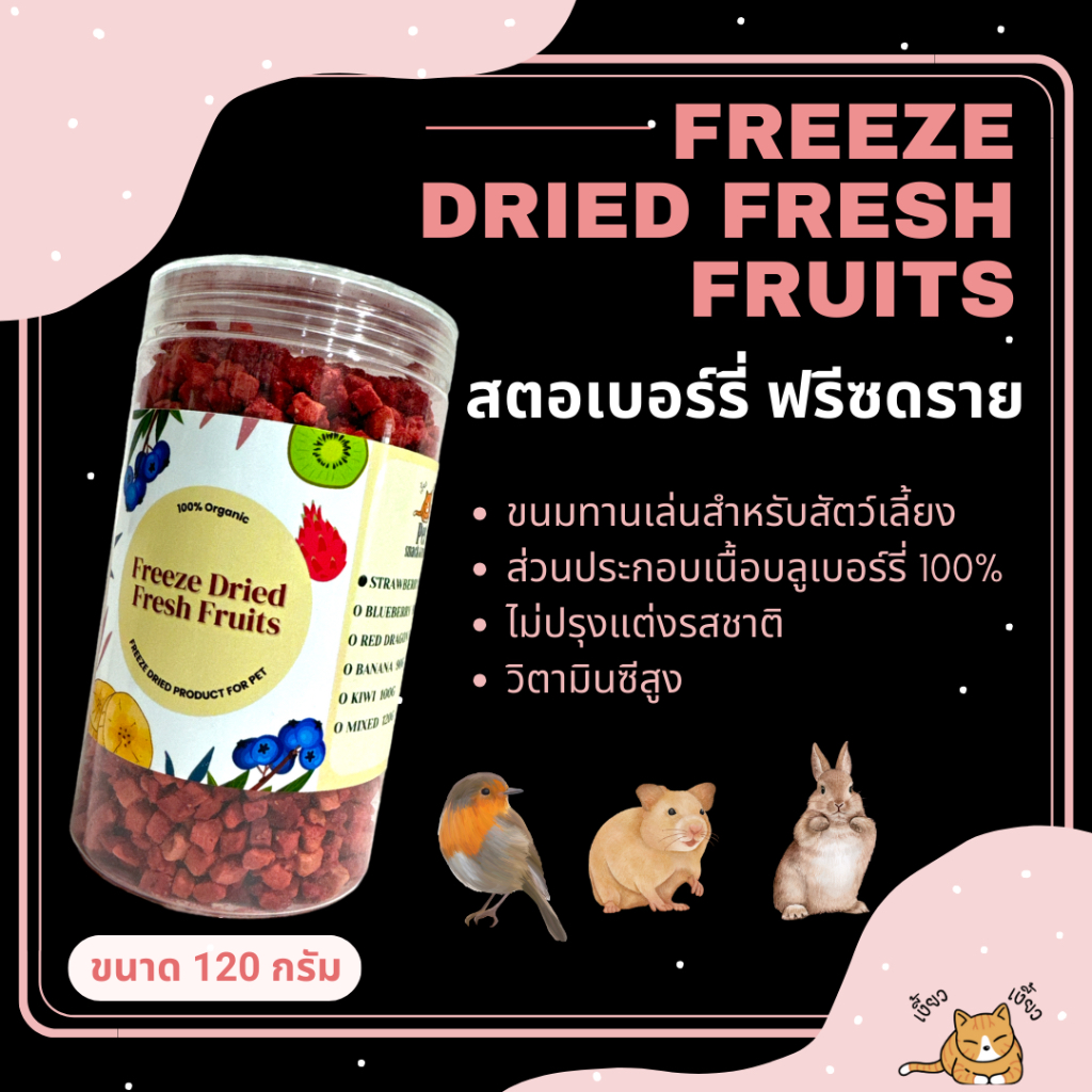 New! Freeze Dried Strawberry สตรอเบอรี่ฟรีซดราย บรรจุ 120 กรัม สำหรับสัตว์เลี้ยงตัวน้อย สัตว์ฟันแทะ Food Grade