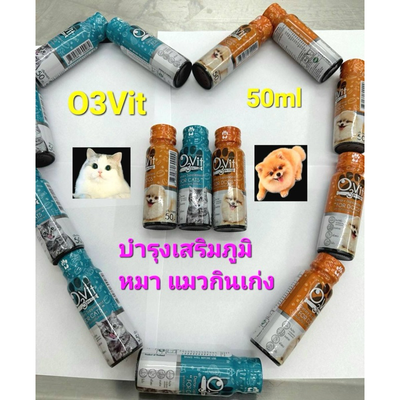 O3vitวิตามินเสริมภูมิบํารุงแบบนํ้าในสุนัขแมว50ml